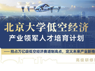 北京大学低空经济产业领军人才培育计划